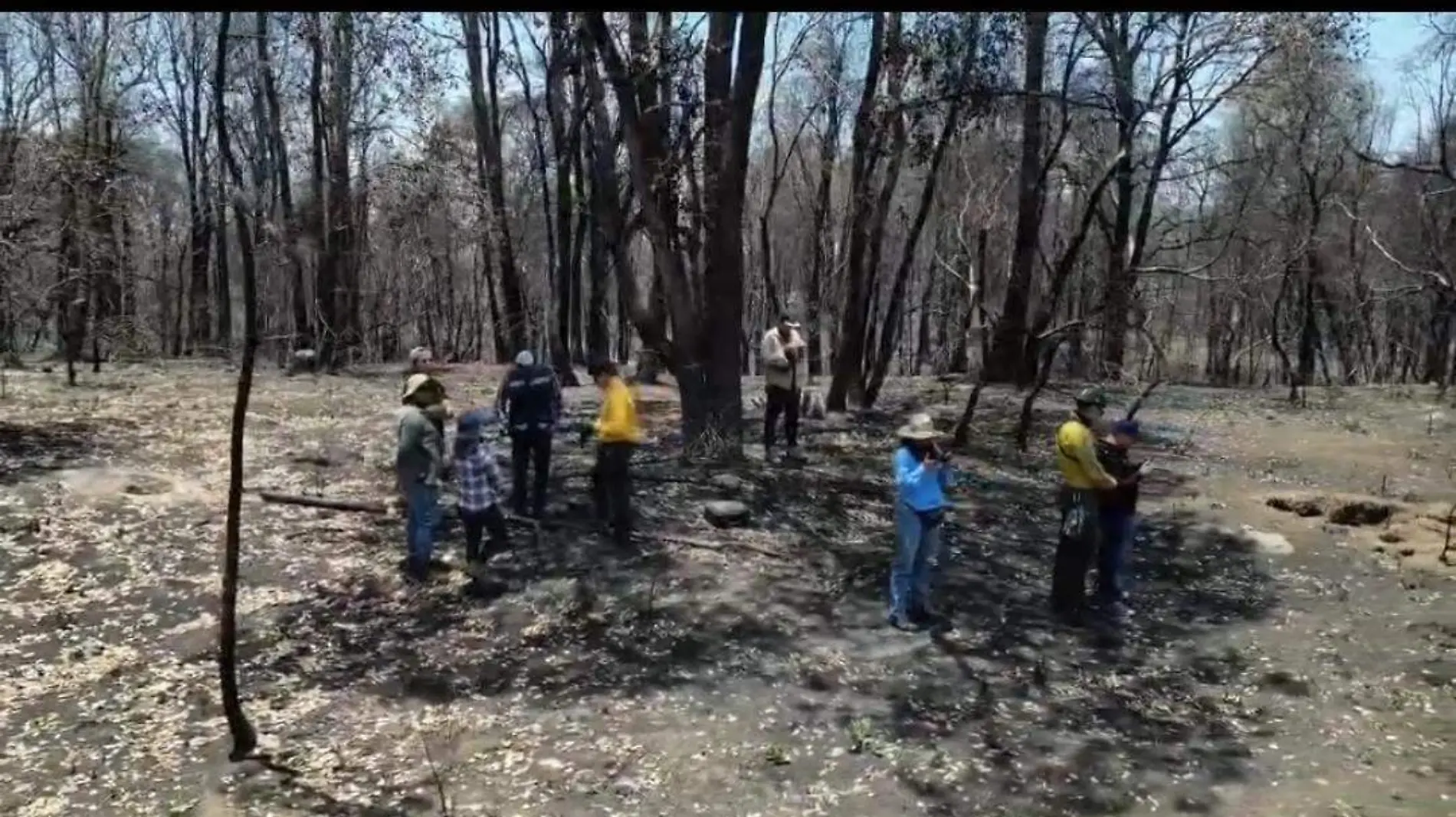 Incendios forestales (2)